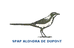 SPAPS ALONDRA DE DUPONT
